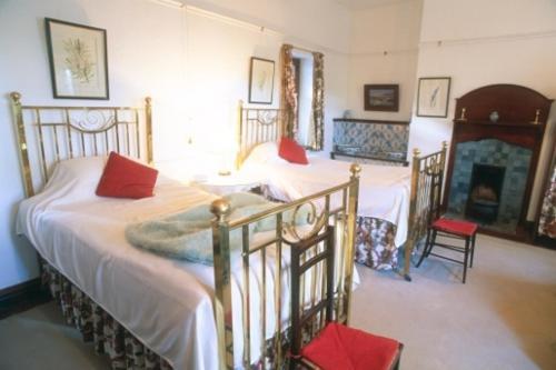 Lekkerwijn Historic Country House Franschhoek Pokoj fotografie