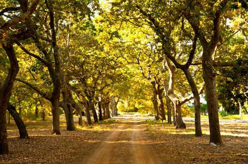 Lekkerwijn Historic Country House Franschhoek Exteriér fotografie